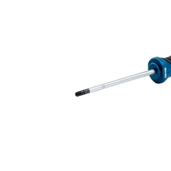 Bosch Csavarhúzó TX25X100