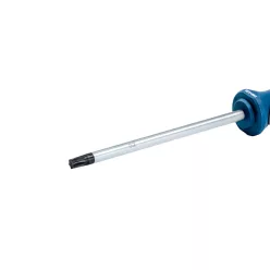 Bosch Csavarhúzó TX40X125