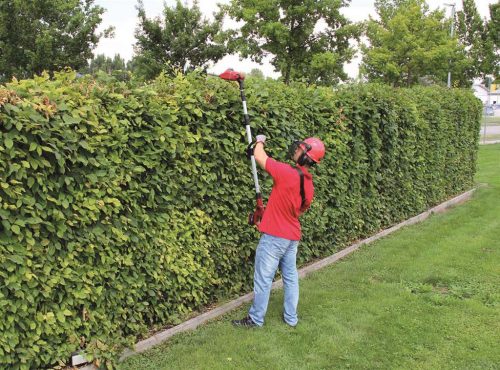 Einhell GE-HC 18 Li T-Solo Akkus multifunkciós szerszám (3410800) + Starter kit (4512097)