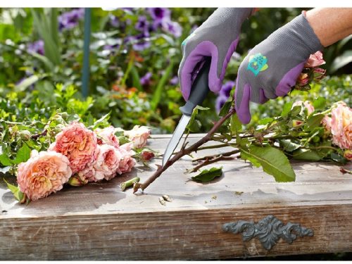 KWB profi outdoor és kerti kés 220 mm (49021700)