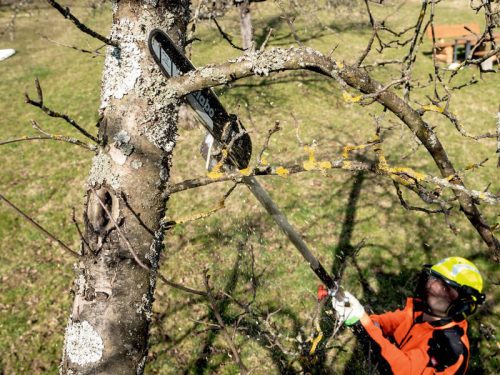 Metabo MA-MS 25 Magassági ágvágó adapter karton dobozban (601727850)