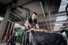 Metabo SXE 150-5.0 BL Excentercsiszoló (615050700)